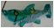 Brehm Fisch