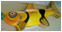 Commerzbank Fisch